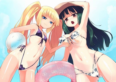 二次元 2次元 マイクロビキニ ロリ エロ画像 18