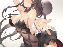 バニーガールの二次元エロ画像 001