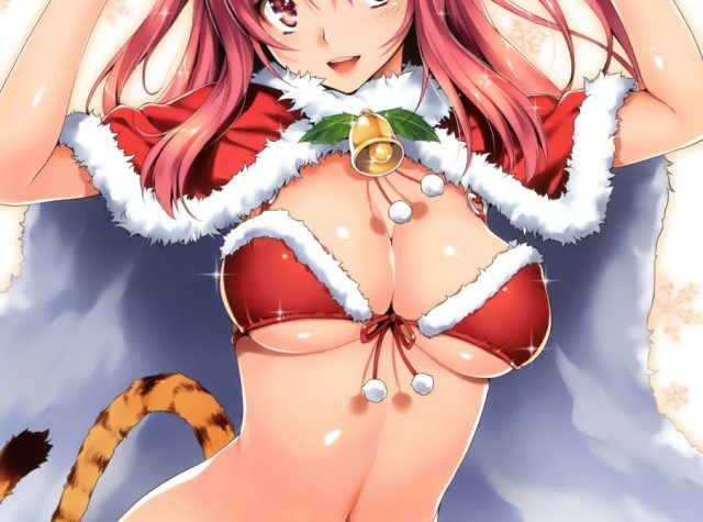 サンタコスプレの二次元美少女のエロ画像 001