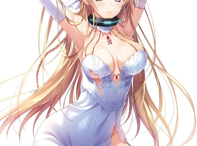 緊縛・拘束された二次元エロ画像 001